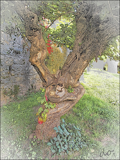 arbre sympa 1 (2)
