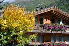 Herbstfarben in Zermatt