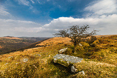 Dartmoor - 20160322
