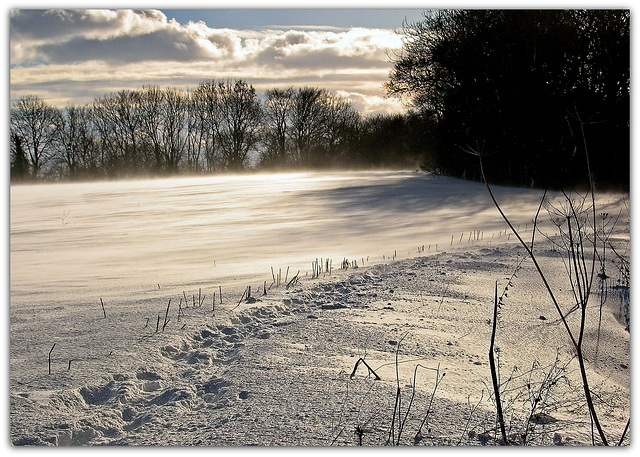 Blowing Snow - East Ayton, North Yorkshire