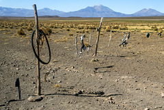 Fence- Altiplano style