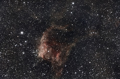 Southern tadpoles. NGC3572