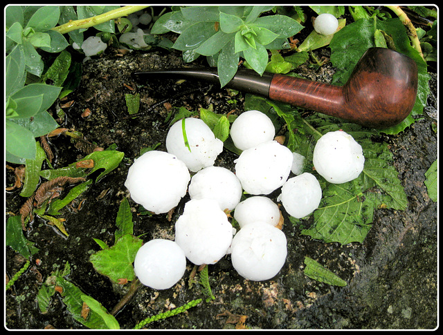 Hailstorm, May 28 (3)