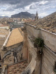 Walls and roofs of Palermo and Monte Pellegrino.