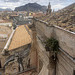 Walls and roofs of Palermo and Monte Pellegrino.