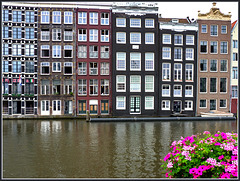 Amsterdam- canal cruise - (533)