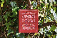 'Once You Find Happiness'