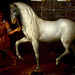 Rijksmuseum 2019 – 80 Years’ War – Spanish Warhorse