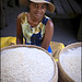 La jolie vendeuse de riz