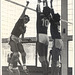 Volleyball  NLB  (1977)