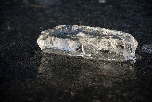 Winter Crystal