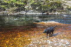 Jet cooling off in the Findhorn