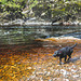 Jet cooling off in the Findhorn