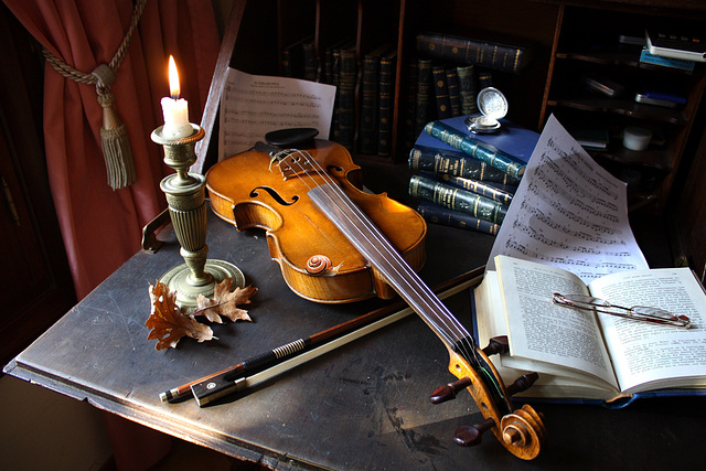 MY VIOLIN AND A SNAIL