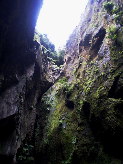 Looking up, from the Sulphur Grotto.