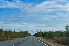 60km hinter Oulu (© Buelipix)