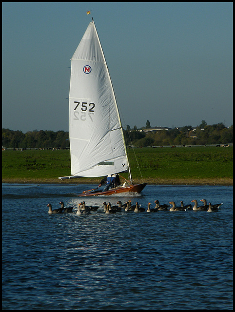 sailing at Port Meadow