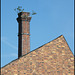 Atherstone chimney tree