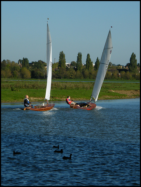 yachting at Port Meadow