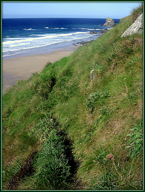 Greenbank Cove - the path down.