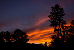 Sunrise over Pine...