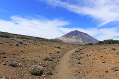 Sendero 2 um die Montaña del Cerrillar (© Buelipix)