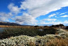 El Calafate, Patagonia