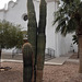 Cactus Peace & Love desert chuch / Culte au cactus
