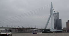 Rotterdam Erasmusbrug (#0119)