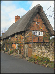 Dorchester thatch