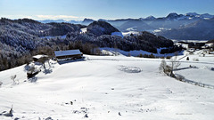 Winterlandschaft am Erlerberg (PiP)
