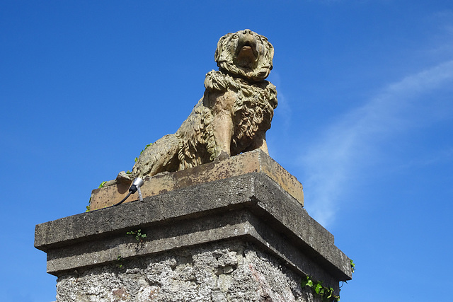 Lion Gatepost At Malahide Castle