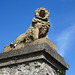 Lion Gatepost At Malahide Castle