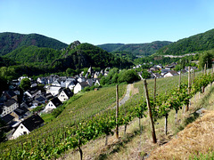 DE - Altenahr - Blick aus den Weinbergen