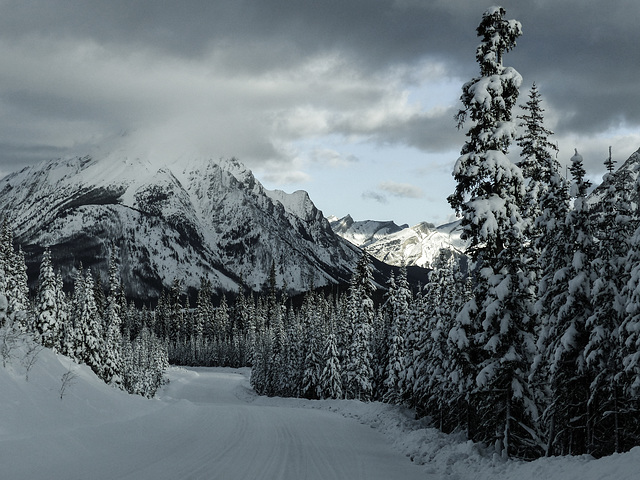 Driving in a winter wonderland