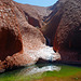 Mutitjilda-Schlucht  -  ein ständiges Wasserloch am Fuße des Uluru