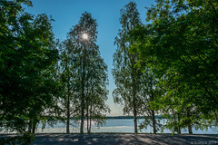 am Kemijoki in Rovaniemi (© Buelipix)