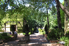 Yalumba Winery Gardens
