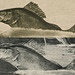 Comparison of the Fish in Two Tall-Tale Postcards by Alfred Stanley Johnson, Jr.