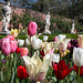 Tulips and statues, Tryon Palace
