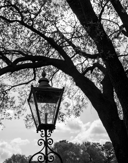 Lantern, Tryon Palace