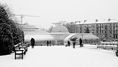 Kibble Palace, Botanic Gardens in the Snow