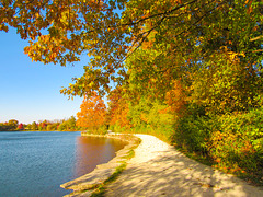 Fall Color Path