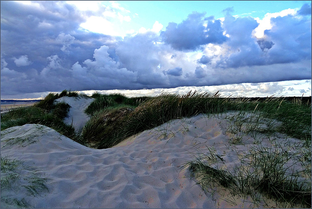 ... vagues de dunes ...