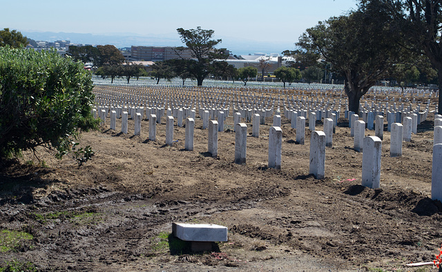 Golden Gate Natl Cemetery  resetting (#0971)