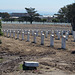 Golden Gate Natl Cemetery  resetting (#0971)