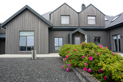 Iceland, Keflavik, Roses at the Wooden Hotel Berg
