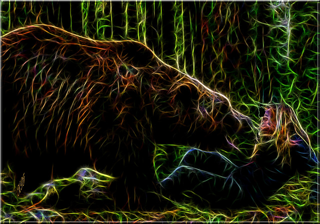 Helena et son grizzly