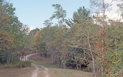 The Ridge Road