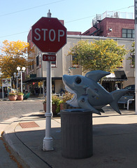 Arrêt de poisson / Fish stop sign
